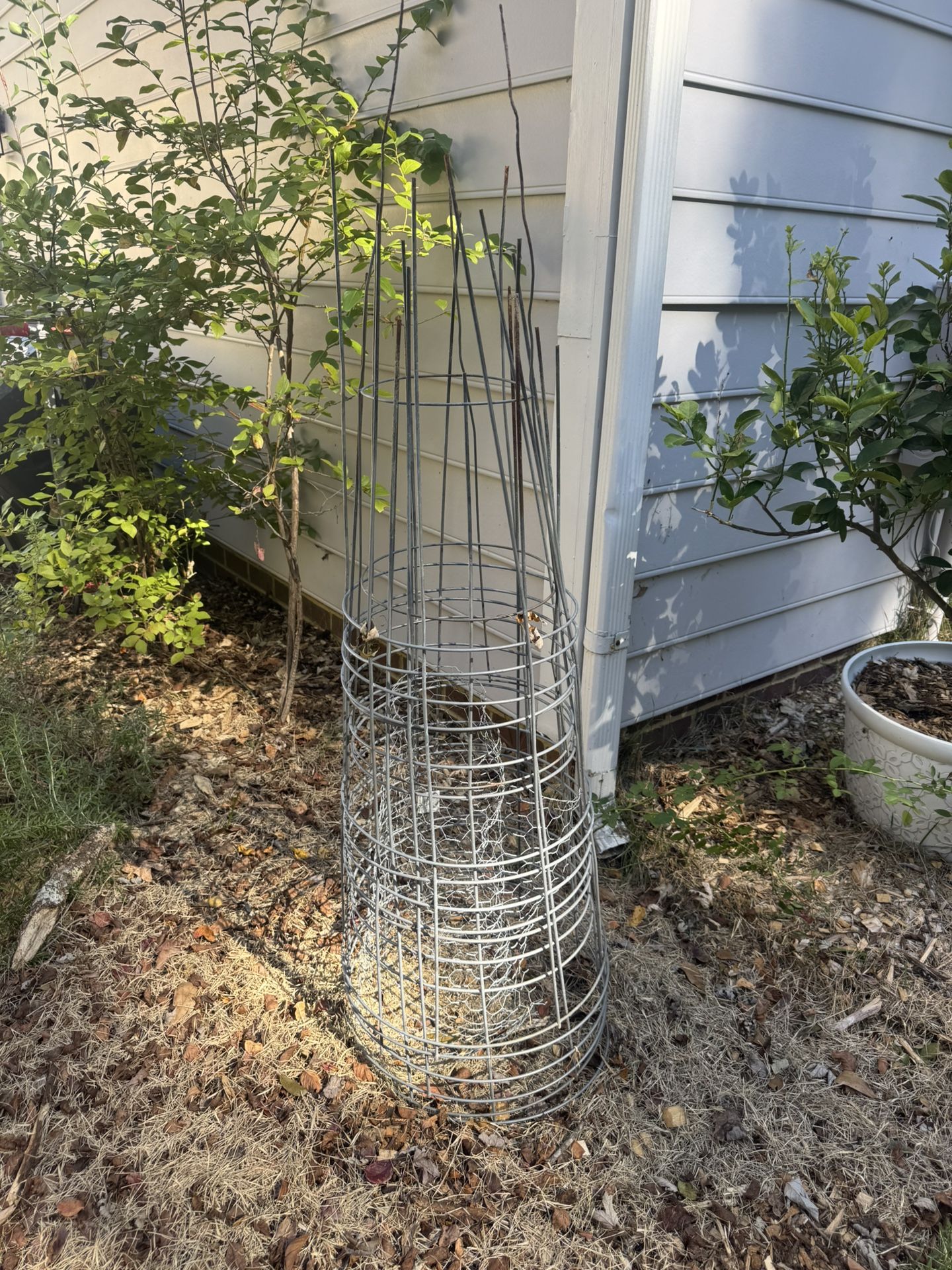 Metal Plant/Tomato Cages