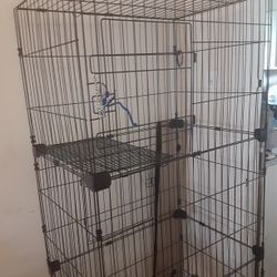 Cat Lounge