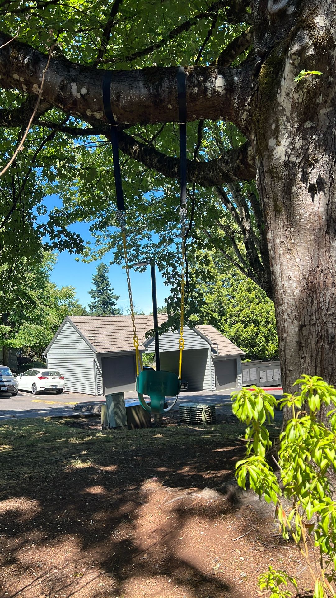 Baby/Toddler Swing with Straps