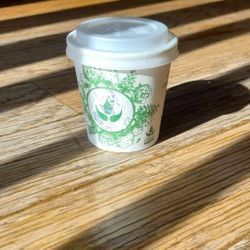 NEW Tree Kit Cup: Grow Your Own Tree/ House Plant/ Indoor Plant Flower  Activity 