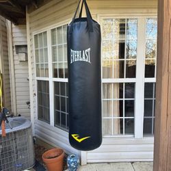 Boxing/Punching Bag