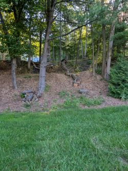 Free firewood
