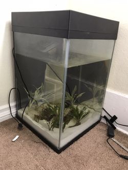 Fish Tank