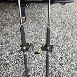 Pair Fishing Poles With Reels 