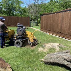STUMP GRINDING