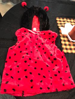 Child’s small ladybug costume