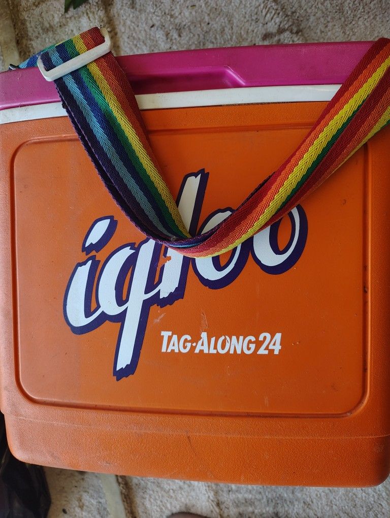 Vintage Igloo
