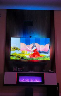 Samsung 65 Inch TV