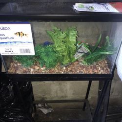 10 Gallon Aquarium / Stand Set