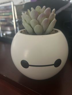 Baymax big hero 6 planter succulent