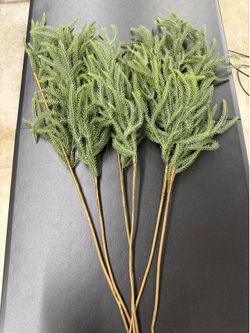 Christmas Norfolk Stems 35 inches tall