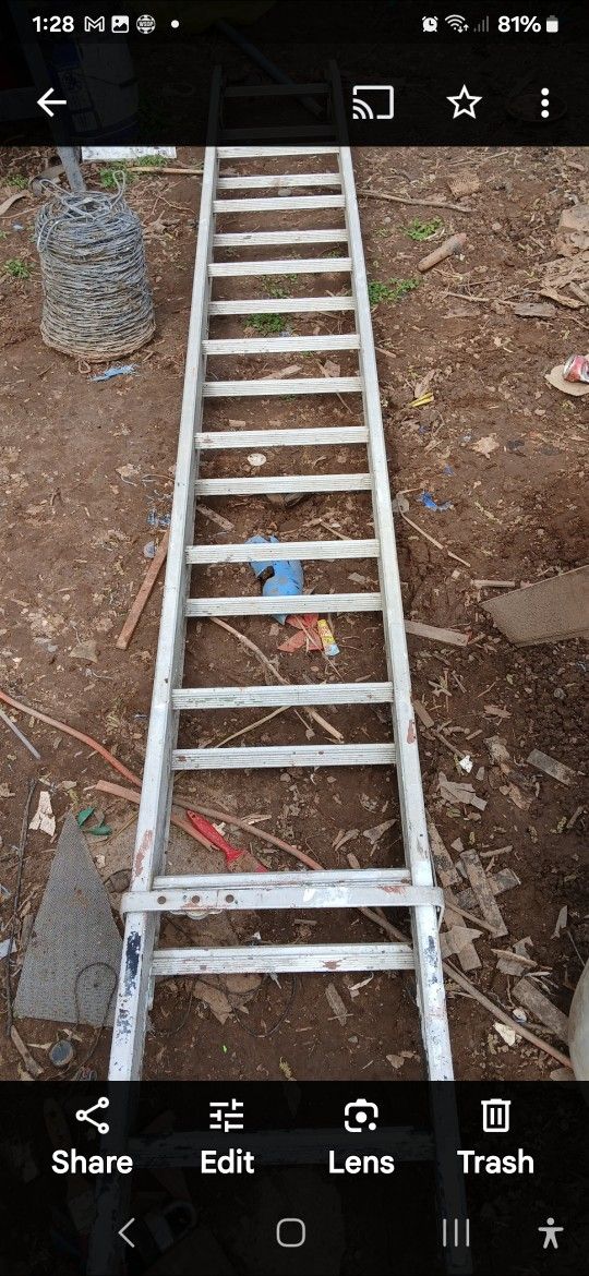 Extension Ladder 🪜