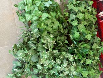 4🌱🌿 Assorted Artificial Ivy and Foliage Plants