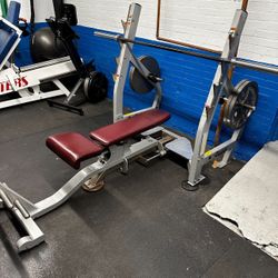 Hoist adjustable bench press 