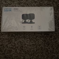 Blink Mini Security Cameras