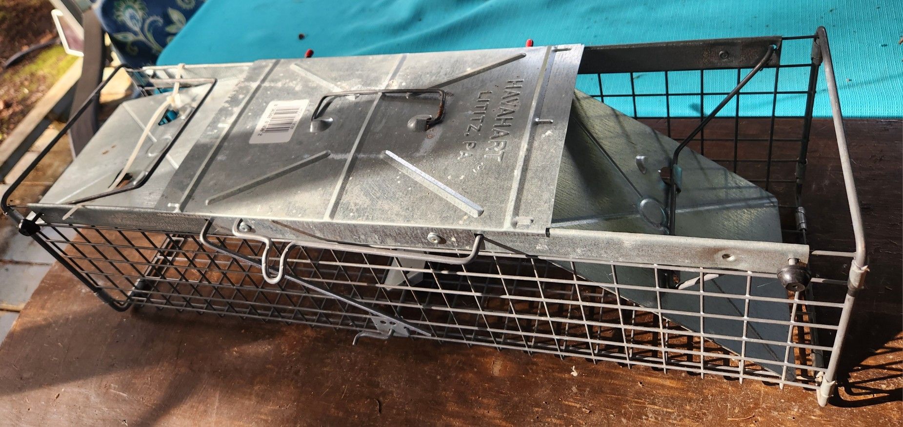 Havaheart Small Animal Live Trap