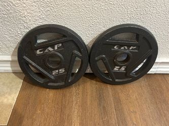 25 lb barbell plates