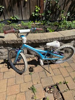 Schwinn Kids 20 inch Bike