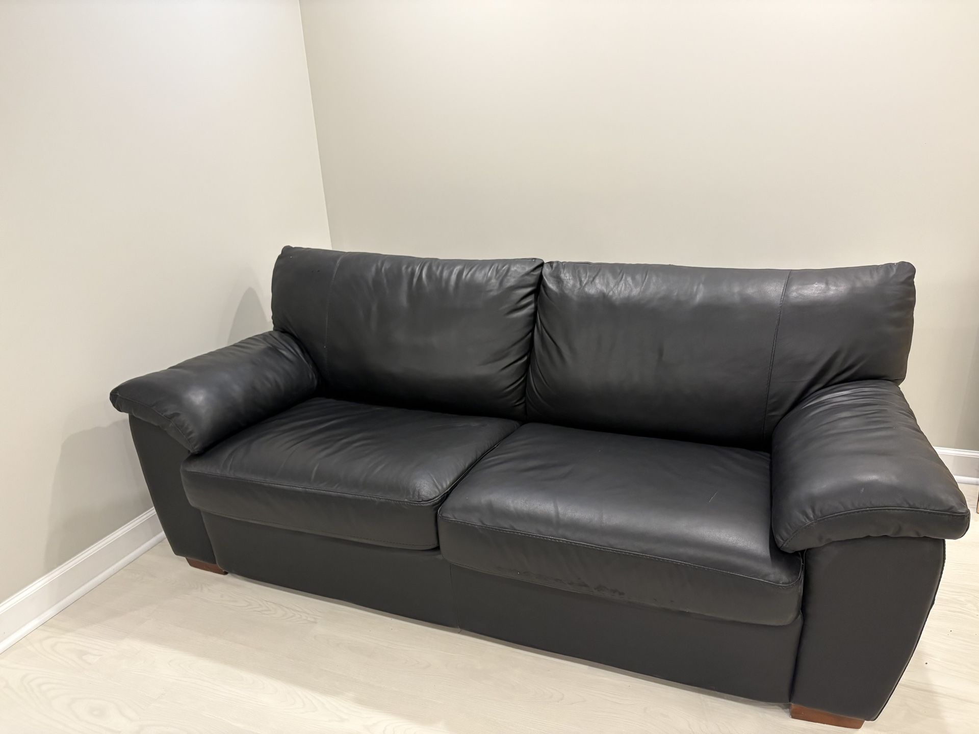 Leather Couch/bed