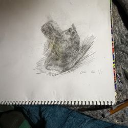 Smart plug bundle trio