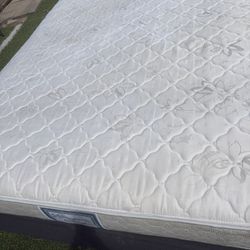 Queen Bed