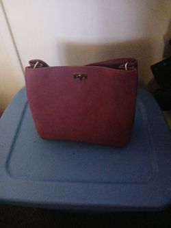 Vanessa william purse