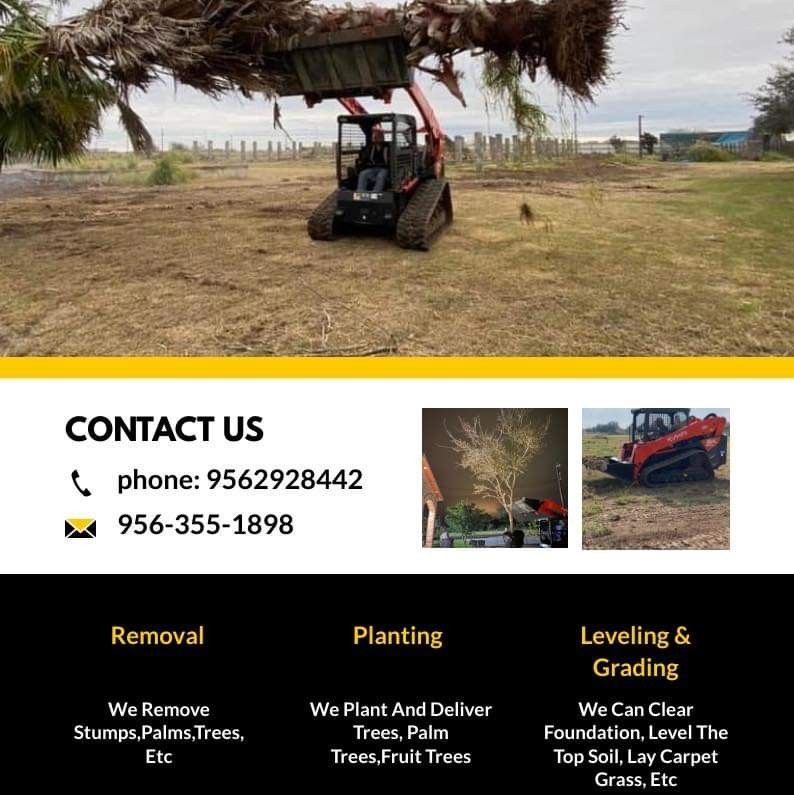 Se Ase Trabajos De Limpieza De Terrenos Y Sacando Árboles Secos Y Emparejando Terrenos Se Empieza El Precio Desde $250 Depende El Trabajo Y Subeel Pre