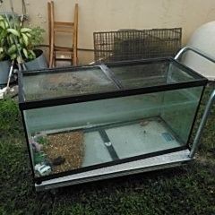 70 Gallon Fish Tank 