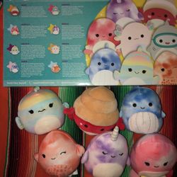Squishmallow pack 