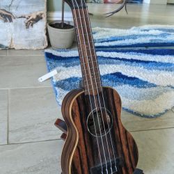 RARE kala soprano Kala KA-EBY-S ukelele with stand