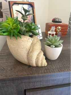 Set of succulents artificial plants