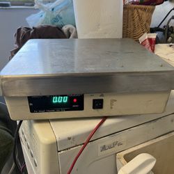 Electric Scale 