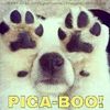 Lucrecia