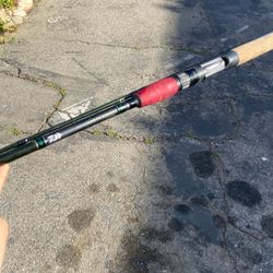 Daiwa North Coast Swimbait Rod 10-30Ib Line.
