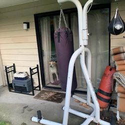 Century Boxing Stand With Speed Punch