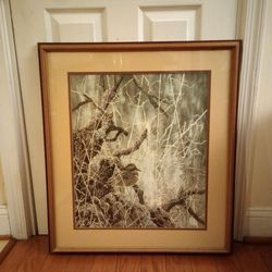 28"X25" Chris Forrest's "Teal" Print
Framed Picture