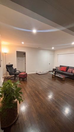 Dark brown couch  go this weekend