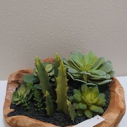 Succulent Plant W/Wooden Pot 🌵