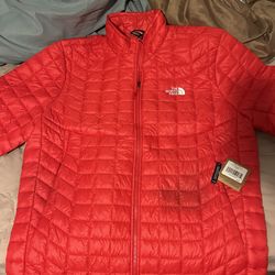 North face Winter Jacket