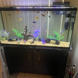 60-65 Gallon Fish Tank