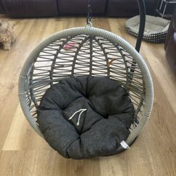 Pet Swing 