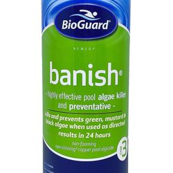 BioGuard Banish Pool Algae Preventative, 1 Quart, Fast-Acting, Non-Foaming, Keeps Water Clear, Provides Effective Control of Algae Growth