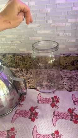 Large glass jar (kombucha brewing!)