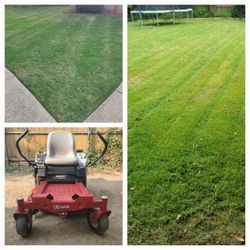 🍃mowing🍃
