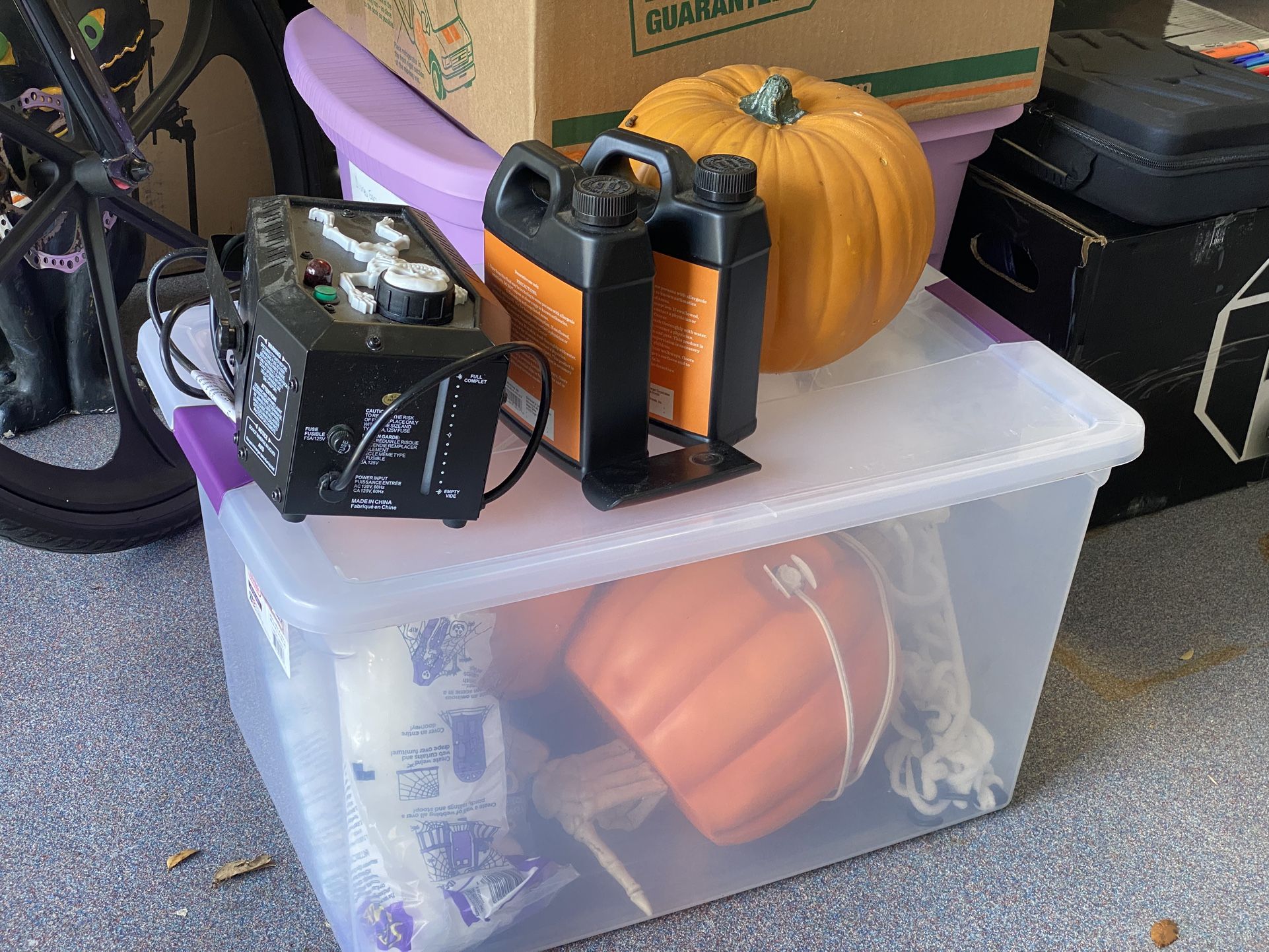 Halloween Decorations