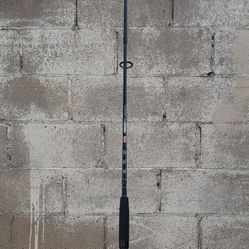 Penn Fishing Rod 