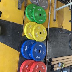 365 Pound Bumper Plate Weight Set And Bar. Or Best Offer On Single Plates Separate.