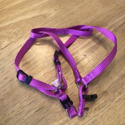Dog Harness
