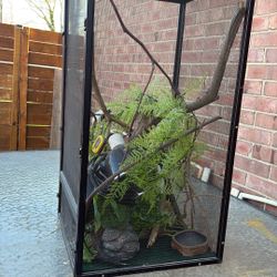 reptile cage