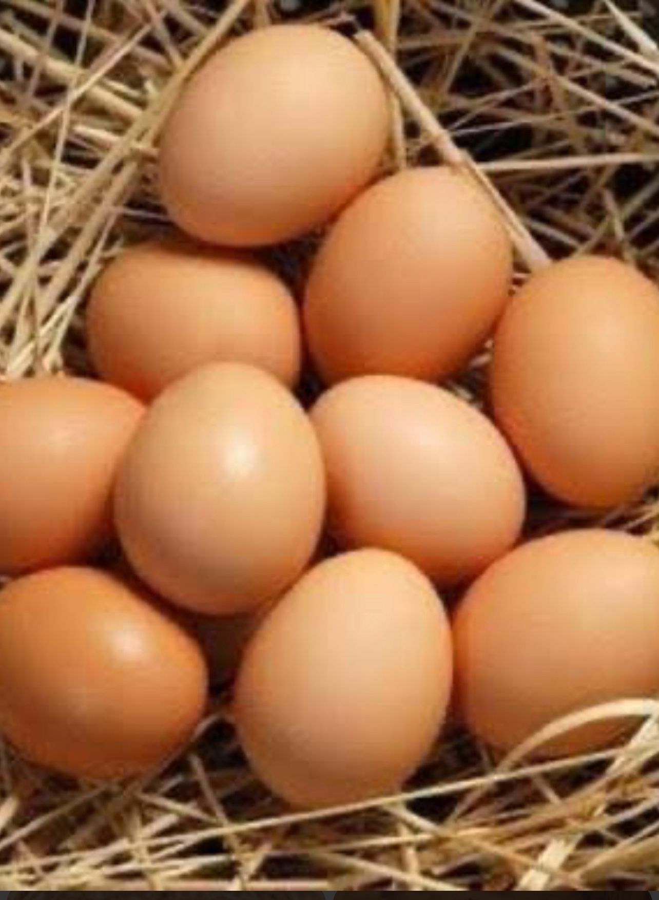 Fresh Organic Chicken Free Range